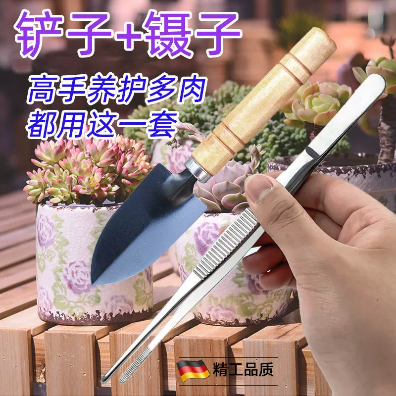 Набор инструментов для суккулентов, пинцет из нержавеющей стали, лопата для рыхления почвы, садовая щетка, набор из четырех предметов для посадки цветов и ловли моря.