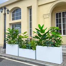 ���滨�ݻ������Gֲ�廨�̈��������e�^������ؔ[����