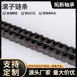 工业传动链条12A1寸16A3分06B 4分08B 5分10A6分单排双排现货批发