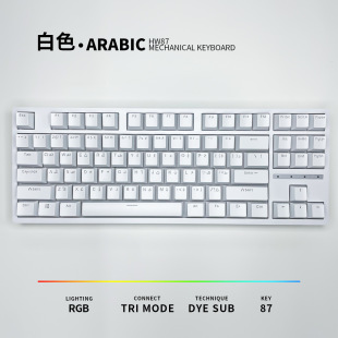 Arabic��������H87�Iλ�t�SRGB�o���{���������ΙCе�I�P