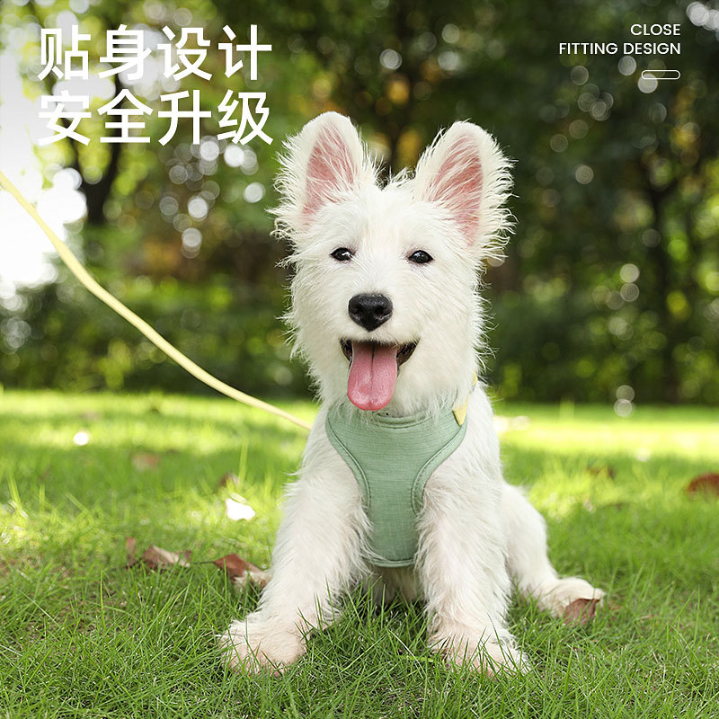 Correa de gato transfronteriza anti-rotura gato especial caminar cuerda chaleco gato cadena pequeña leche gato cuerda en forma de I