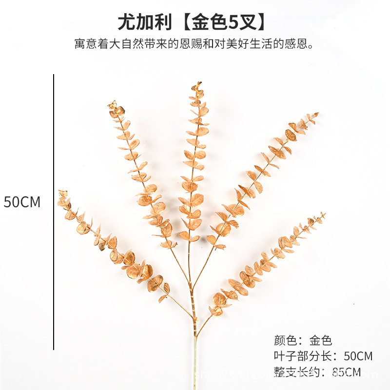 유칼립투스 포크 5개