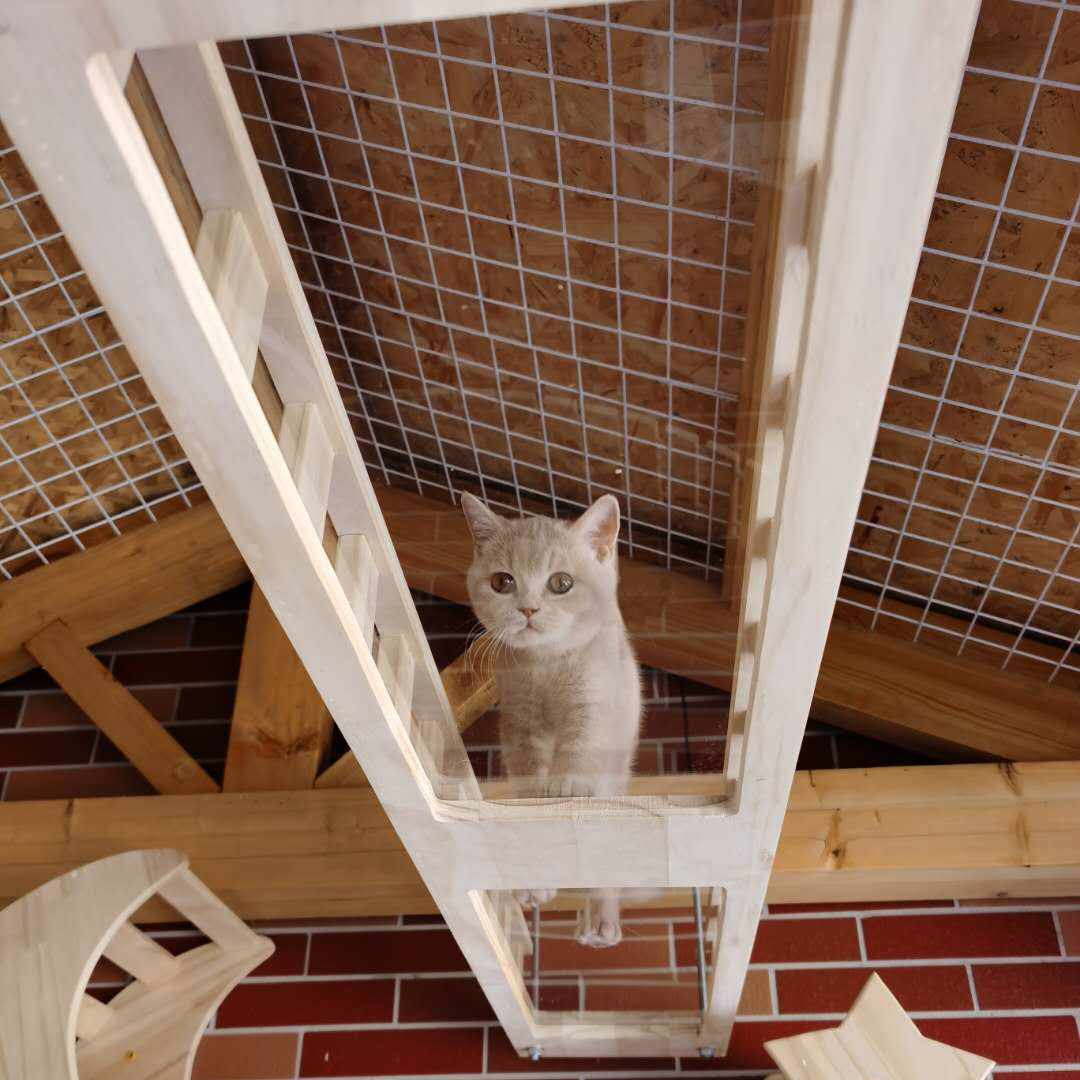 ι∇∇∇∇ιF5  유리판자(길이 1.2mcm 폭 30cm) 본 상품은 환불불가 상품입니다ι∇∇∇∇ι