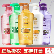 �仨ϴ�l¶�������lϴ�lˮ���l���坍���ɸ��Ɣ�lϴ�^���Ͱ��Ʒ