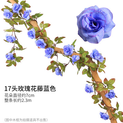 17 헤드 로즈 블루