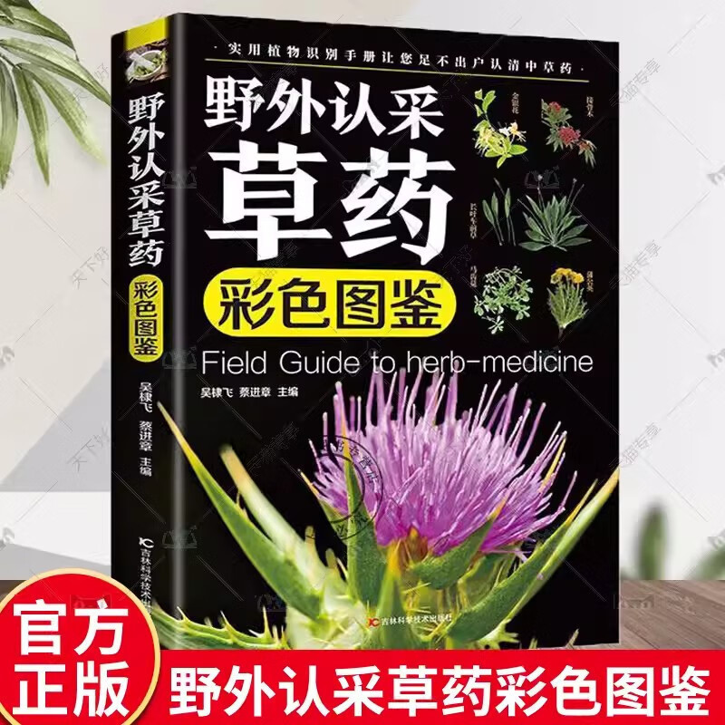 Chinese herbal medicine books field recognition herbal color map HD color map Chinese herbal medicine plant identification and application book