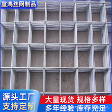 .���B䓽�WƬ���ӾW�b����ξW��ů�F�z�����������B���B䓽z�W