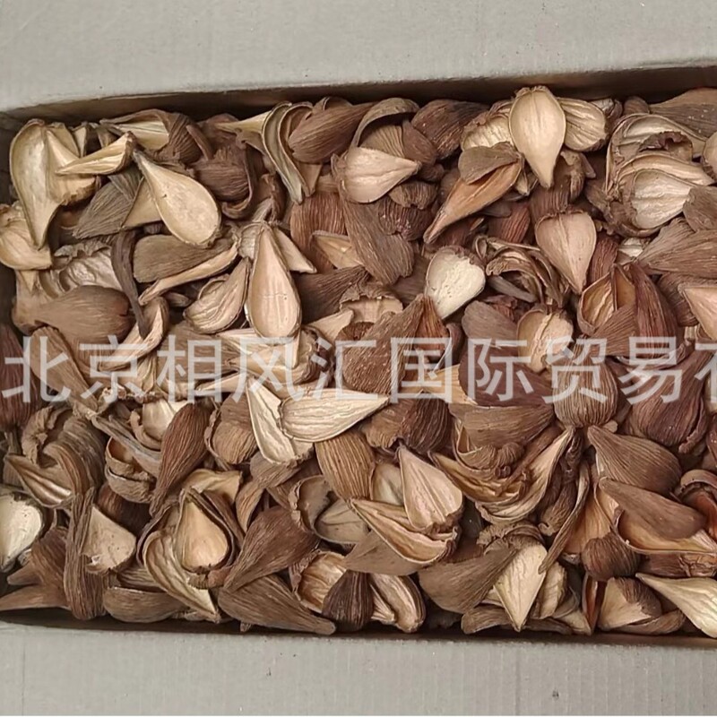 【Oil Painting Fruit Shell】Also Known as Small Melon Shell, Imported Dried Fruit Shell, Fish Tank Decoration, Natural Plant