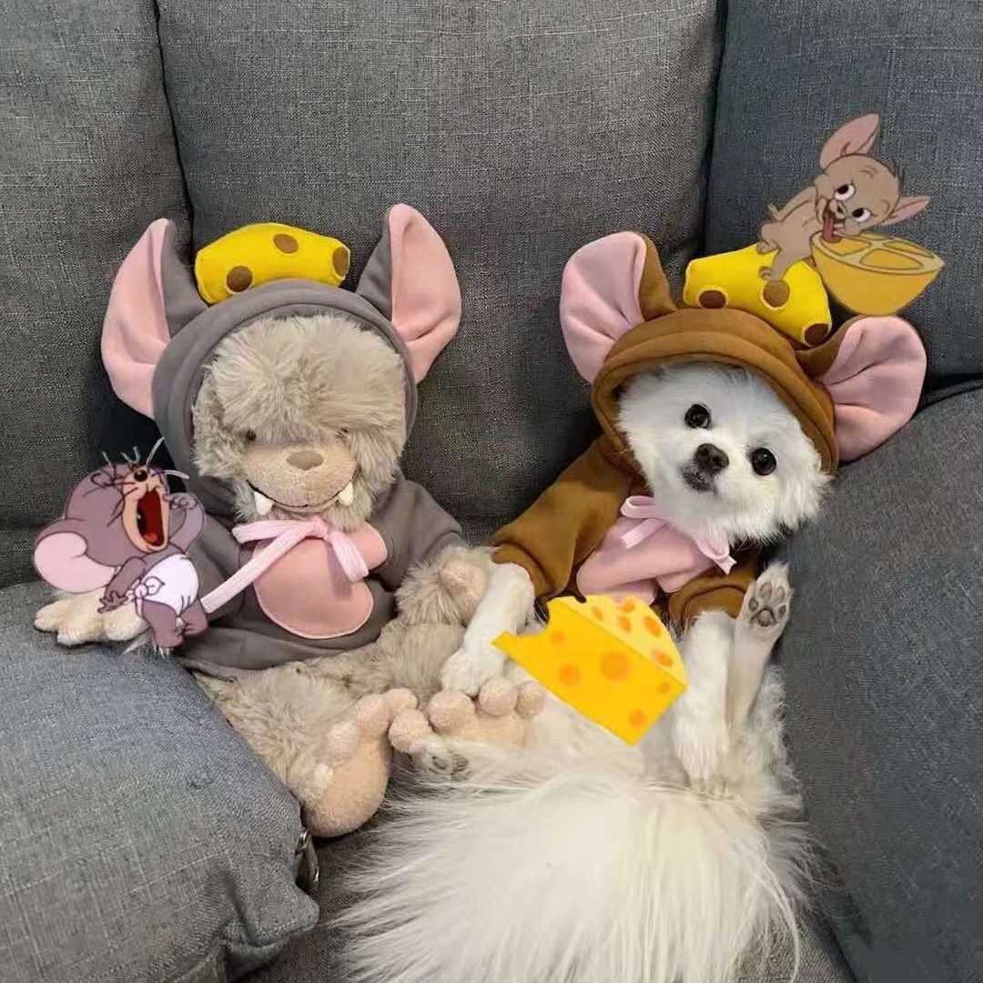 水果变身装猫咪狗狗衣服泰迪比熊博美小型犬秋冬保暖加绒卫衣