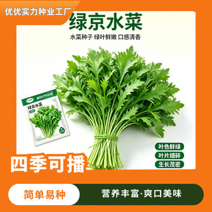 �G��ˮ�˷N���ļ��ɷN����ˬ�ڠI�B�S���̨���ԷNֲ�N��