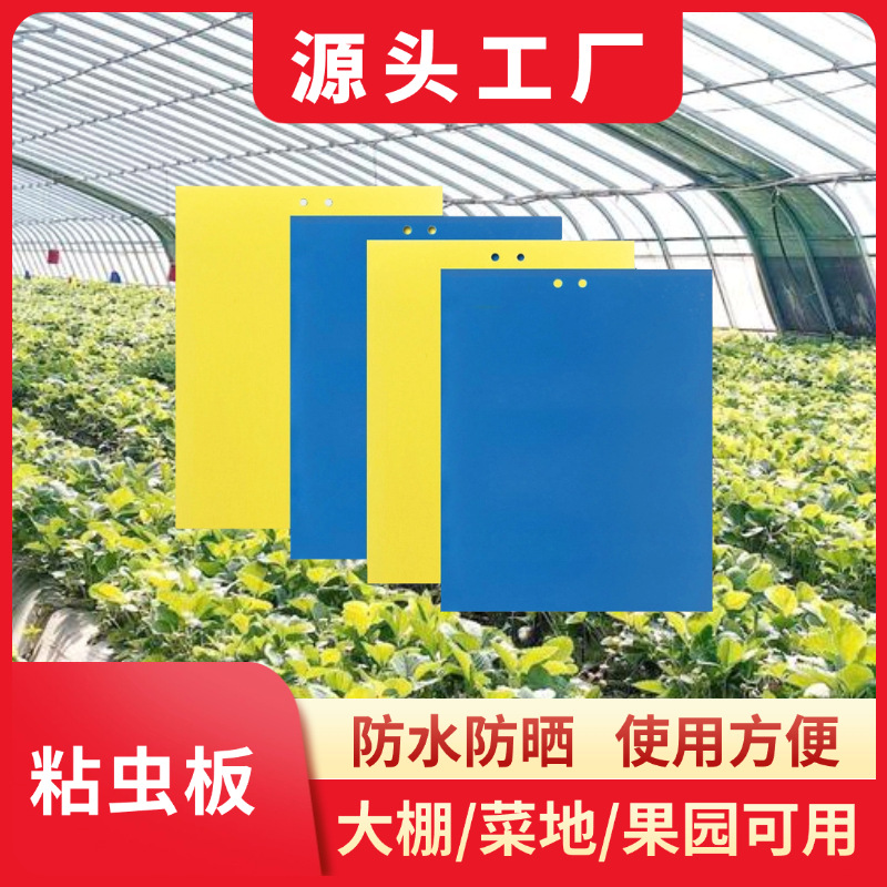 粘虫板诱虫板双面黄板黄色园林果园大棚农用沾虫板厂家批发蓝蓟马
