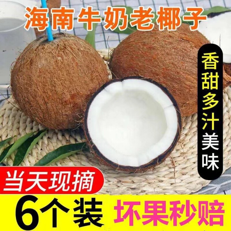 Hainan Old Coconut Wenchang Seasonal Fresh Coconut Hairy Coconut Squeezed Coconut Juice Coconut Meat Soup Coconut Green Coconut Emperor Coconut Chicken Hainan Old Coconut Wenchang Seasonal Fresh Coconut Hairy Coconut Squeezed Coconut Juice Coconut Meat Soup Coconut Green Coconut Emperor Coconut Chicken