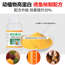 ���R�d�S����b2��~�T�DСș���S�ط����ӄ��a�~���~����vb�~�D��