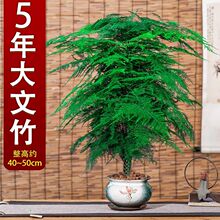 6���F�U����������ֲ���ļ����������՚���ꎺ�������Gֲ�辰