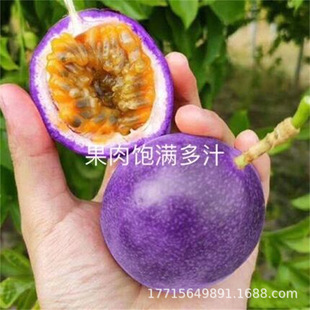 ����t�������S�����������ٹ������ļ��̨�ϱ����Nֲ����Y