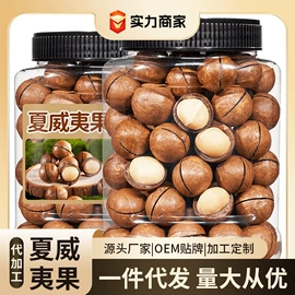 牛肉零食;鸡肉零食;其他坚果炒货