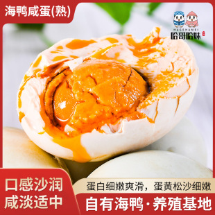 �V���خa�t���ֿ�������������ɢ��������ɳ�t�����ͼ�ʳ��������