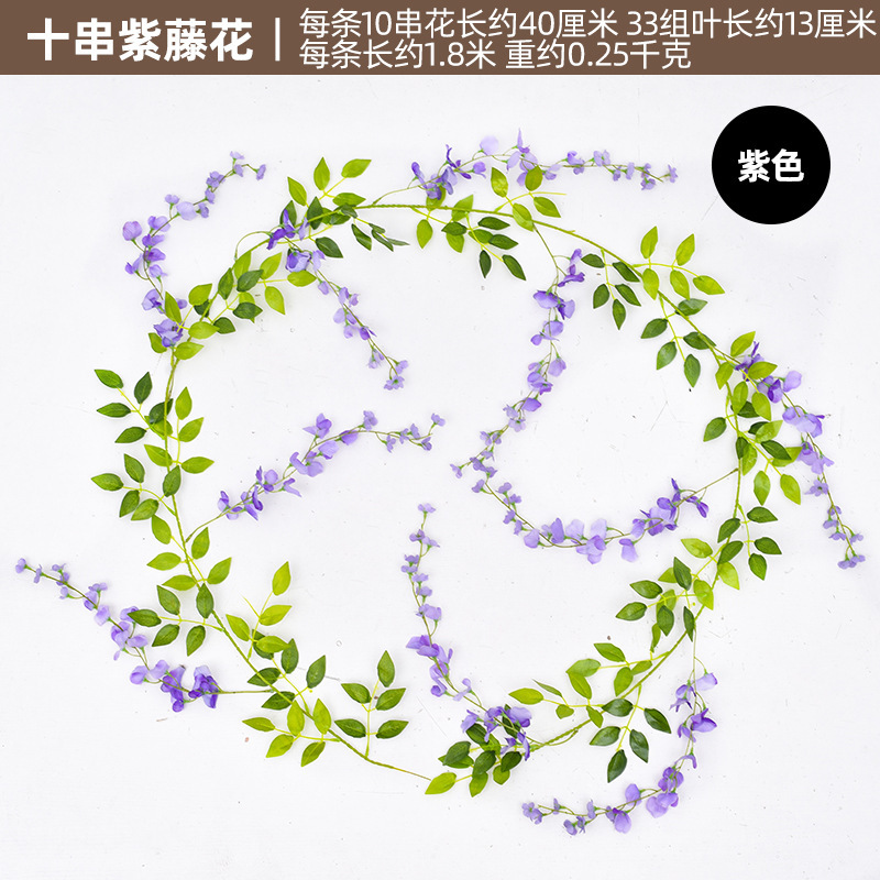 등나무 10 현-바이올렛