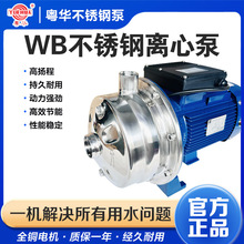 粤华牌WB2-70/110不锈钢离心泵清洗循环处理喷淋抽水