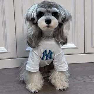 狗狗衣服潮牌薄款大型犬金毛巨贵比熊泰迪柯基雪纳瑞宠物亲子装夏