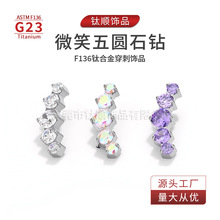 f136/G23�ѺϽ�΢Ц��������Ƕ���������Ʒ������������궤����