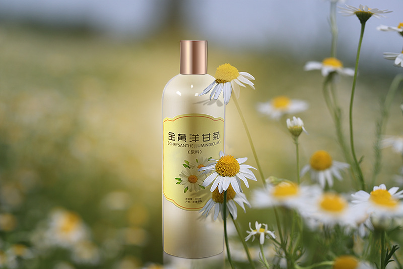 Supply Xinjiang Roman chamomile pure Dew, chamomile flower water 500ml distilled flower water are saturated pure Dew detail image 2
