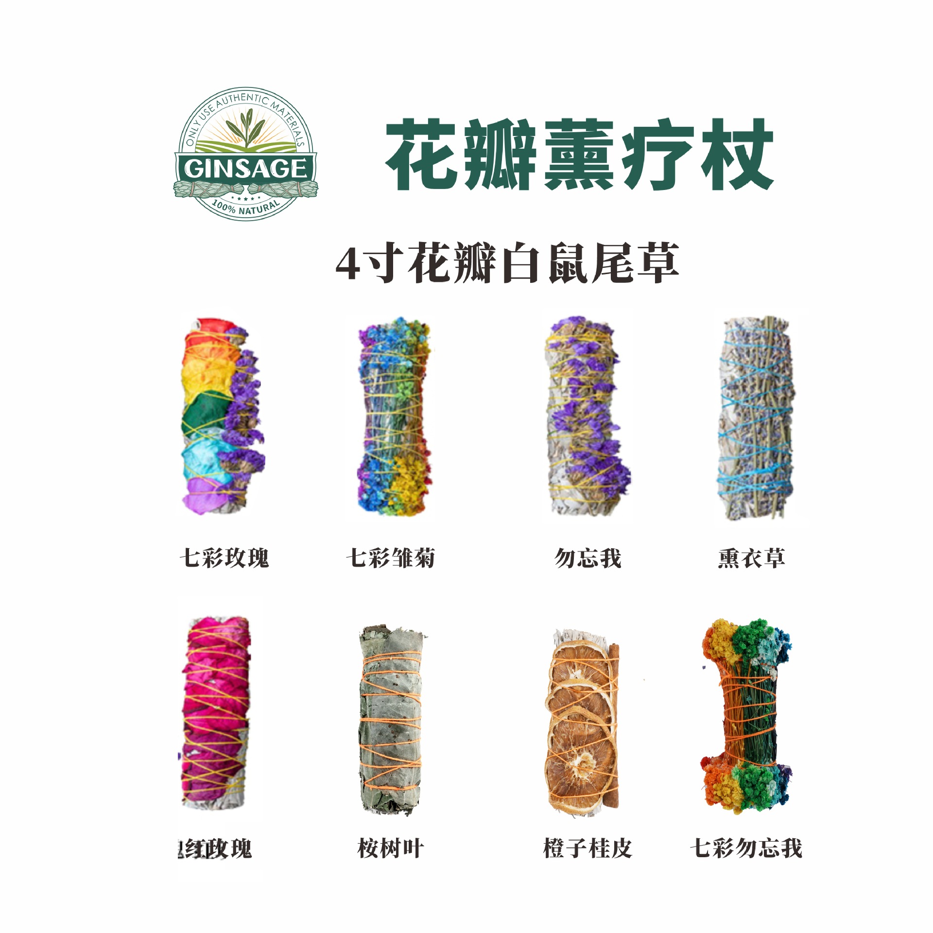 4寸花瓣白鼠尾草