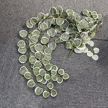 �ȼ����~�ٗl�������Աڒ��b��Ɍ���Y���������ٗlֲ��ٻ��b�