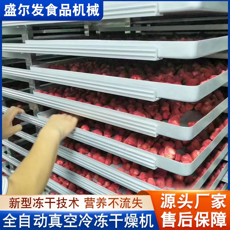 厂家供应商用果蔬脆片冻干设备 全自动脆皮鸭香菇真空冻干机设备