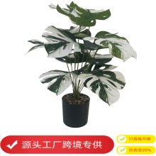 Wٻ辰͏dbϔ[OֲСGֲС