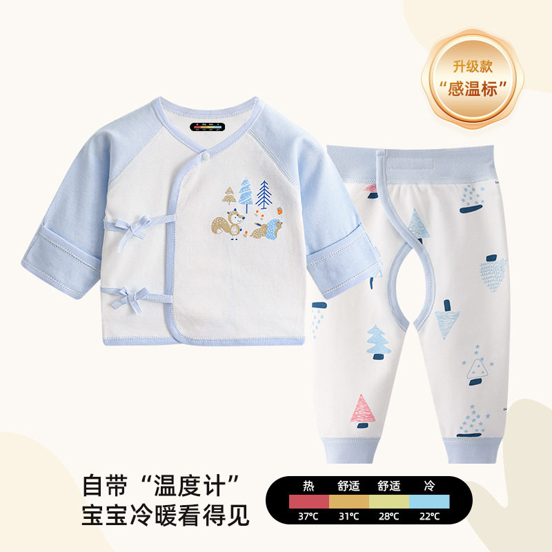 푸른 다람쥐 세트