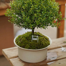 ��ڏ�̦�\���辰�մɻ���Gֲ�������Կ͏d�k����������������