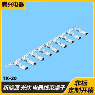2.8��ɹ�ĸһ�w���� 110�米�β�Ƭ �B�w��� ��ĸ�������