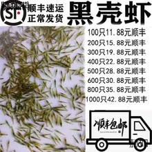 黑壳虾草缸清洁虾乌龟龙鱼饲料除藻虾观赏虾工具虾草虾活体虾米虾