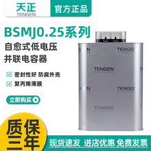 TENGEN����BSMJ0.25����ʽ�͉��K��������450v���� �o���a��