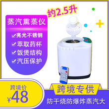 2.5升熏蒸机蒸汽机桑拿机熏蒸仪木桶浴缸用桑拿箱用汗蒸房桑拿炉