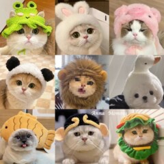 猫のかわいくて面白い女装帽子ペット帽子ゴールデングラデーションブリティッシュショートヘアデボン犬ハンバーガーヘッドギア漫画帽子