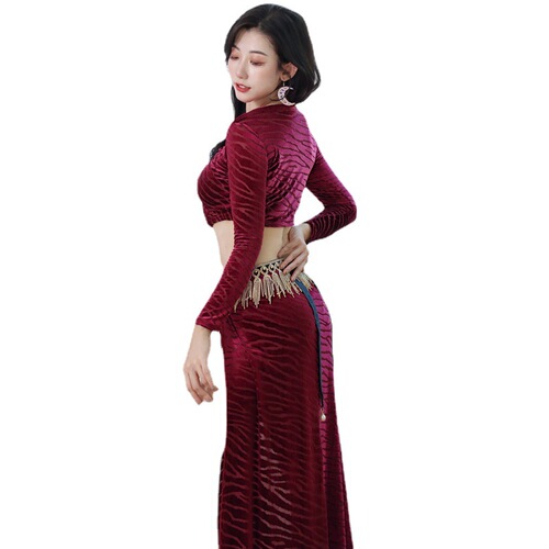 Belly dance 2024 spring and autumn new long-sleeved velvet practice suit suit sexy leg ring oriental dance costume performance costume