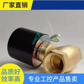 议·全铜耐高温蒸汽电磁阀控制电阀2L/US-15 20 25 32 4 6分1寸半