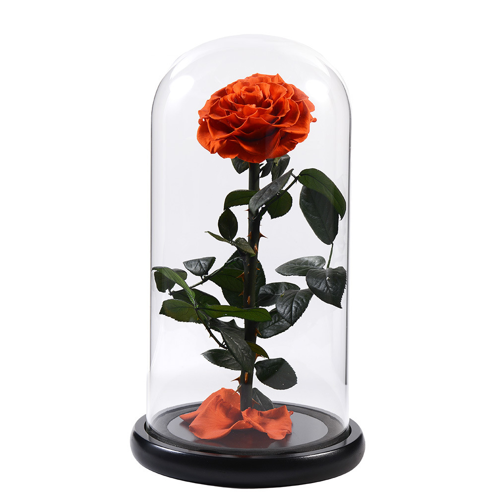 Naranja rojo 15 * 30cm