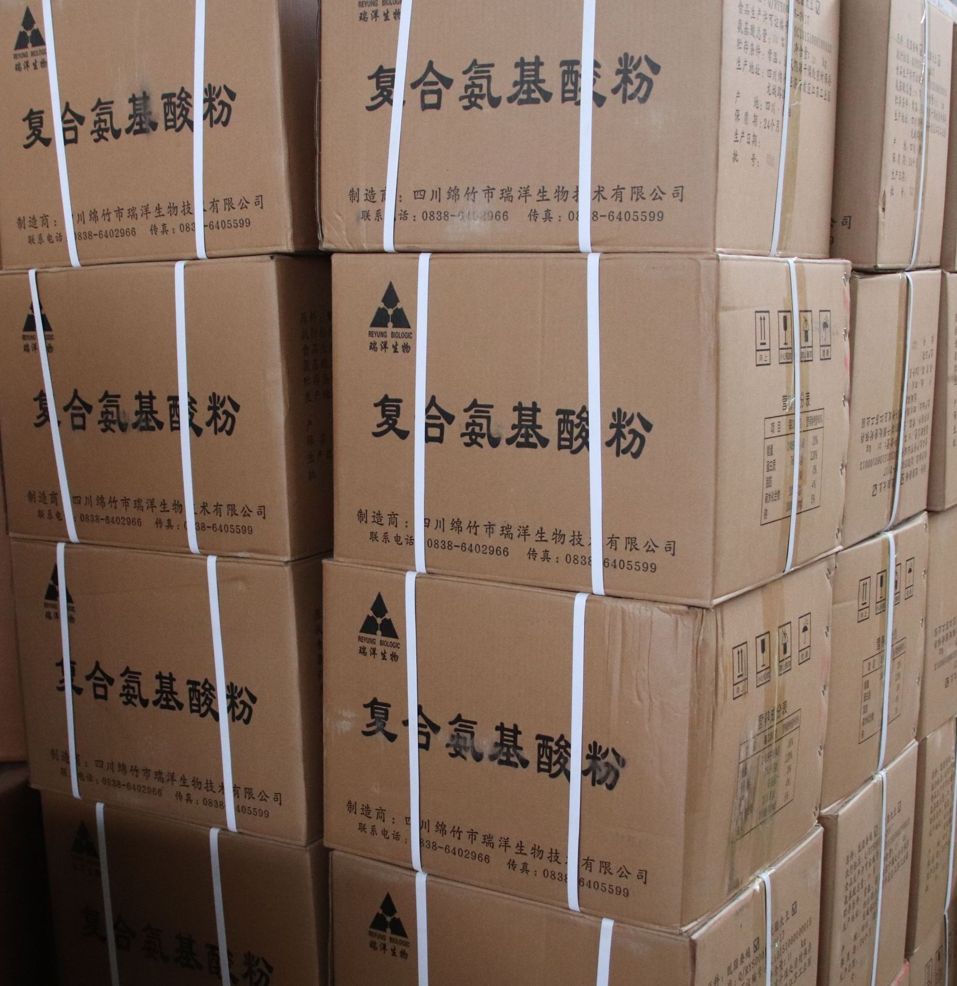 复合氨基酸粉 (3)_副本