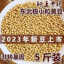 热销23年新货极小粒珍珠粒金黄黄豆690纳豆专用豆浆新鲜非转基因