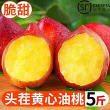 山東黃心油桃5斤水果批發應季時令整箱孕婦甜蜜桃新鮮水果桃包郵