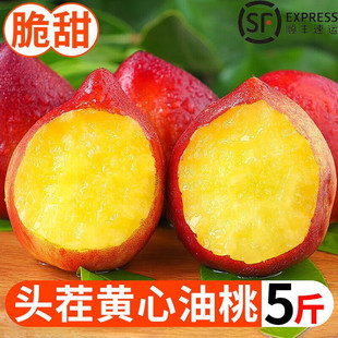 Шаньдун Хуансин масла персик 5 фунтов фруктов Оптовая торговля должна быть приправлена, вся коробка беременных сладкого персика свежие фрукты без персикового персика.