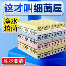 ~^VϼݞVմɭhB~ƷһݞV