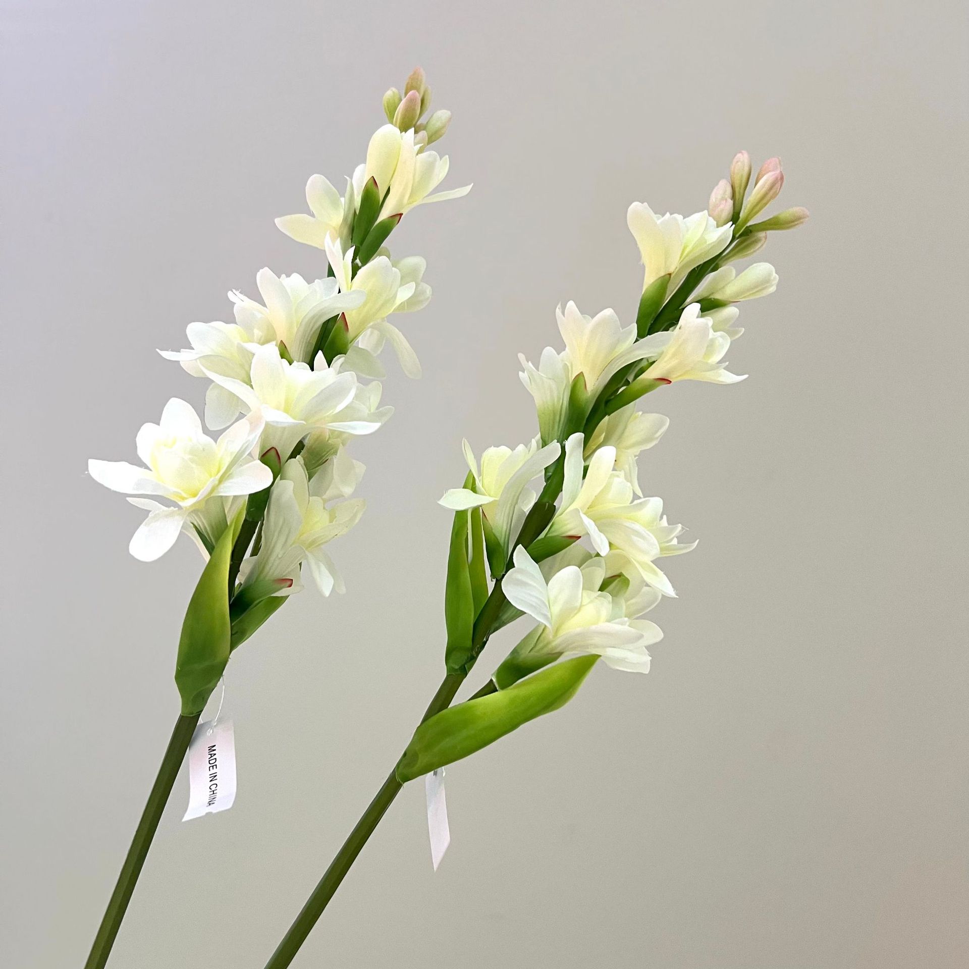 WeChat picture_20240613163117.jpg