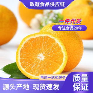 ���������  5/9�����r�����֬gϪ���֮���ƽ�����ӷ�������