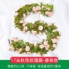 17 autumn rose vine champagne color