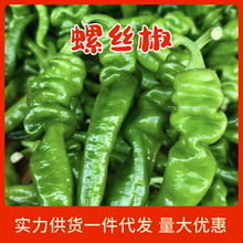 ����ݽz����Ƥ�������r��ժ�߲�С��Ƥ������t�����ݽz������