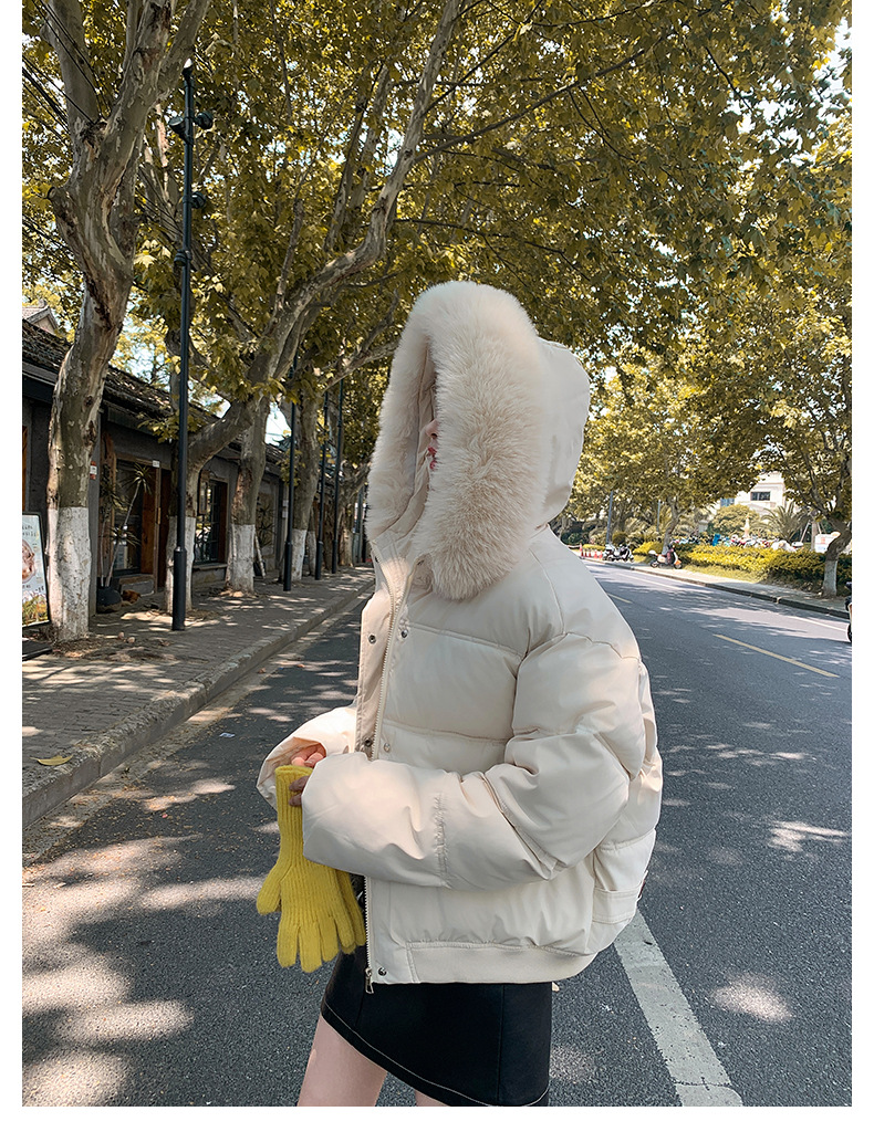 Big fur collar 2024 winter new Korean version loose short clothing cotton women's hooded thickened Down jacket_voghion.com